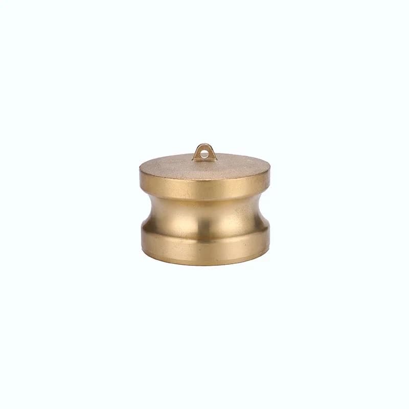 2.5 Inch Type DP Camlock Fitting – Brass