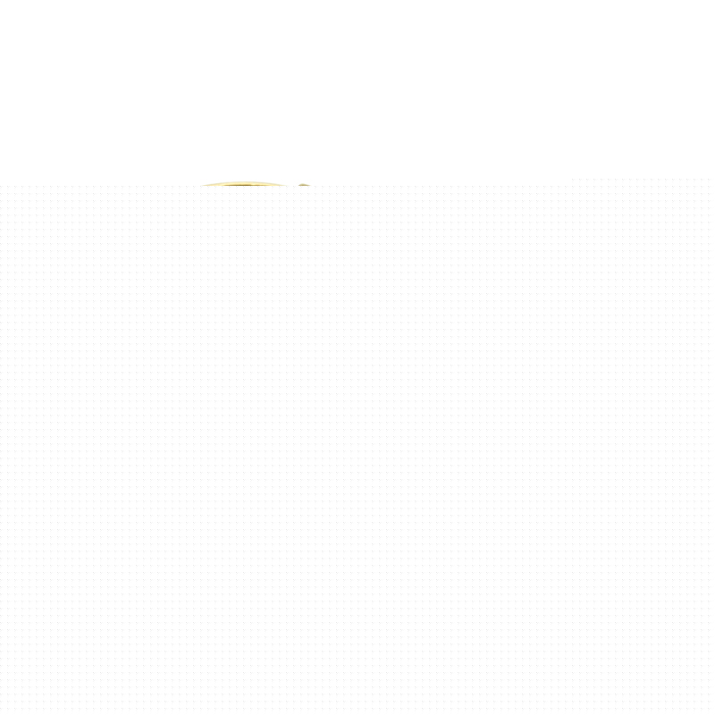 Lalizas – Blank Cap & Chain Storz Brass, 2inch