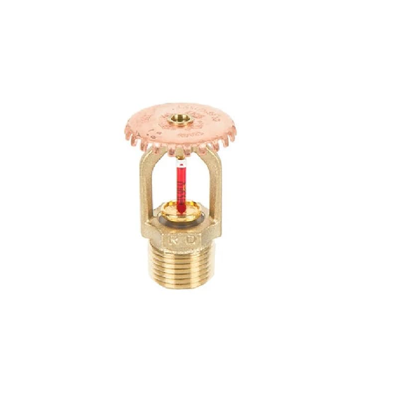 rapidrop-rd025-ssu-upright-quick-response-sprinkler-brass-finish-68c